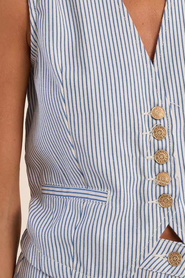Pinstripe Woven Vest