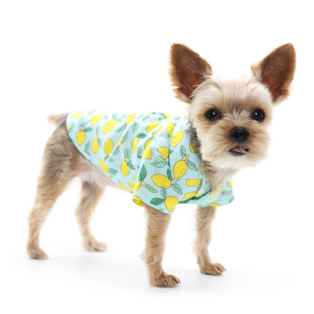 Lemon Dog Shirt