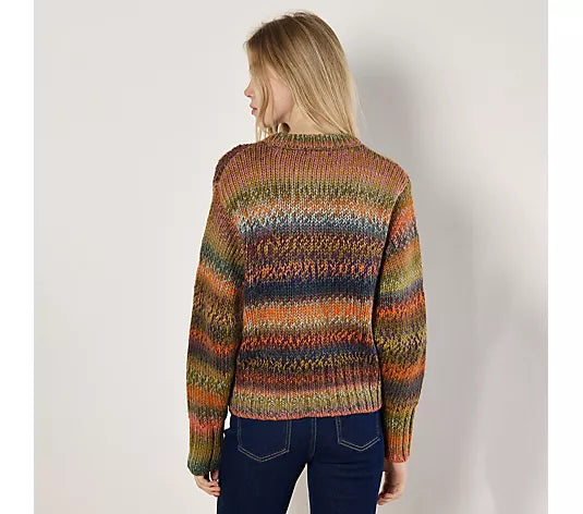 Chunky Multi-color Sweater