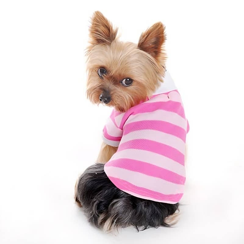 Stripe Polo Dog Shirt