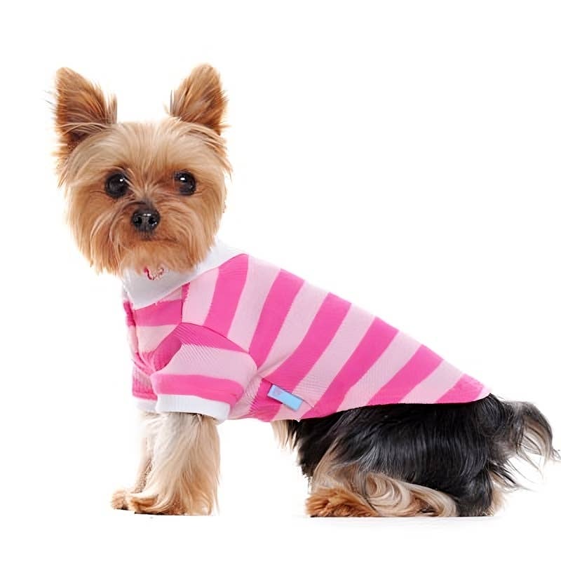 Stripe Polo Dog Shirt