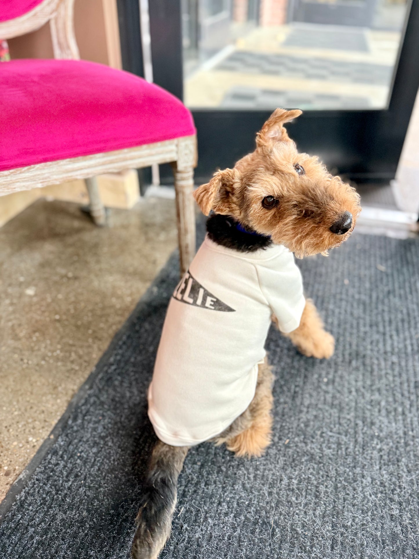 Custom 'ZELIE' Pet Sweatshirt