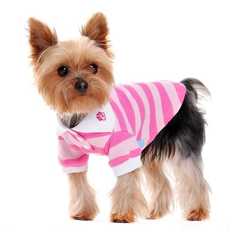 Stripe Polo Dog Shirt