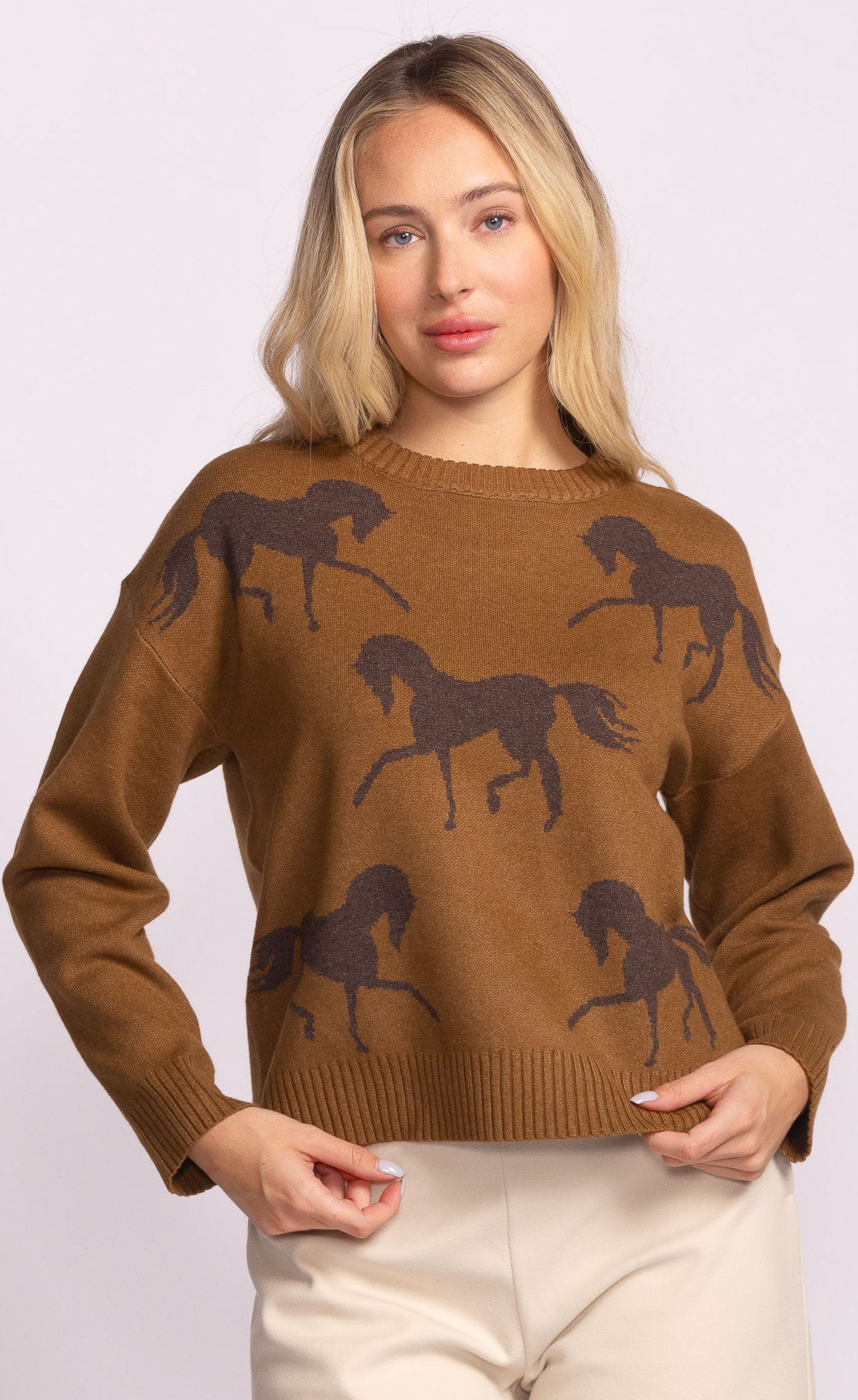 Horse Sweater
