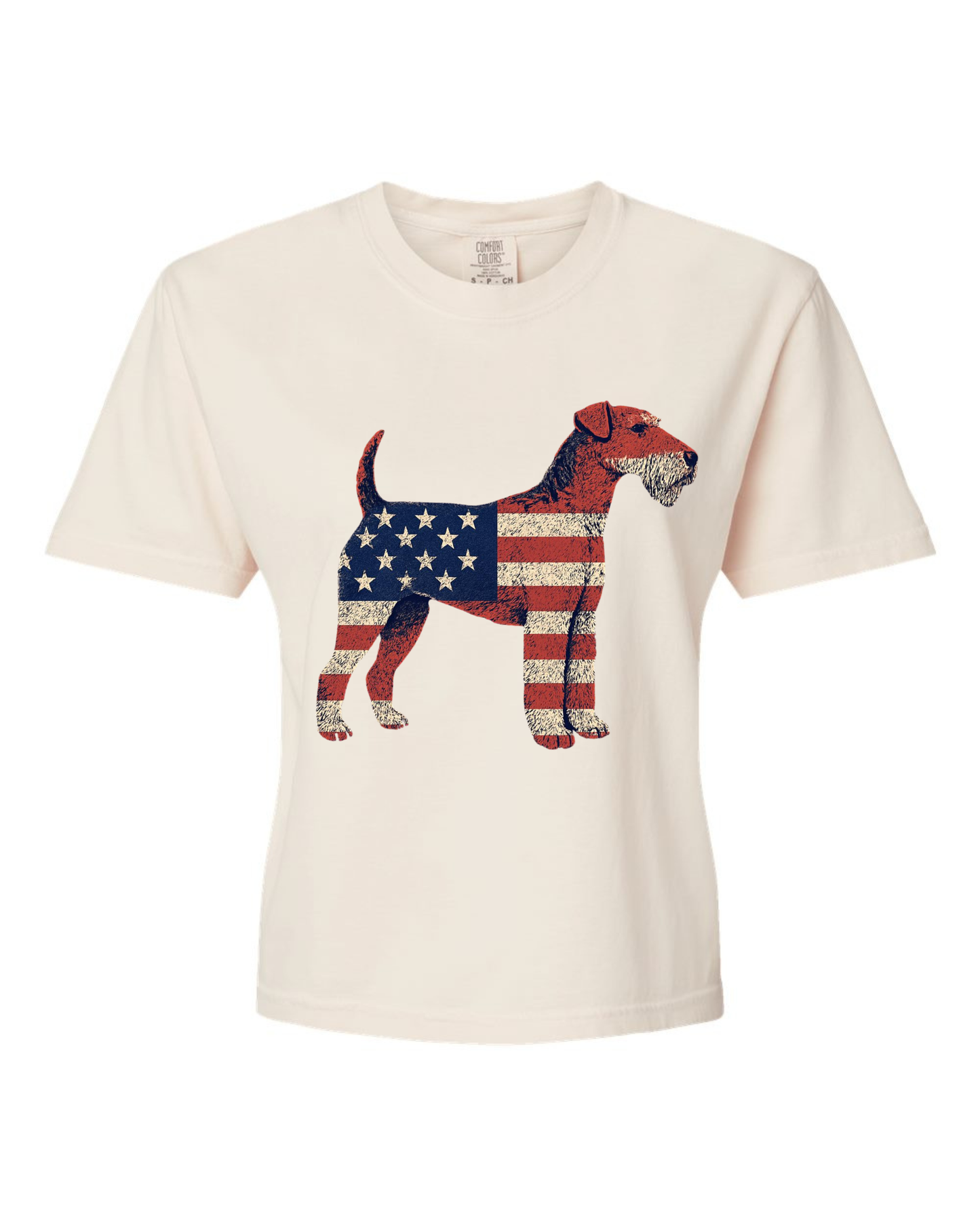 Patriotic Tyler Boxy Graphic Tee
