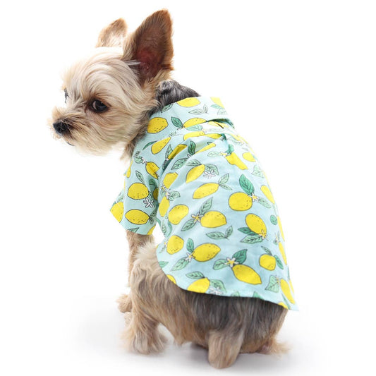 Lemon Dog Shirt
