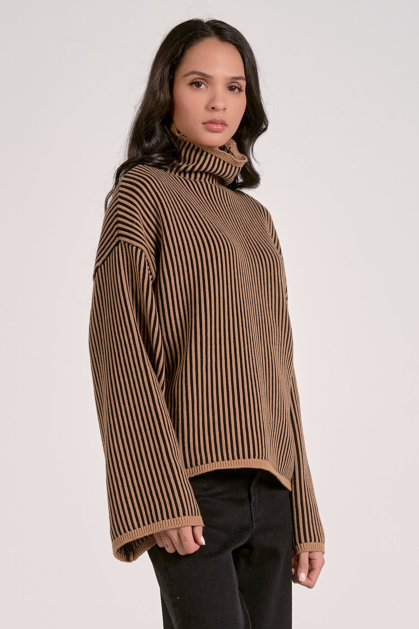 Stripe Turtleneck Sweater