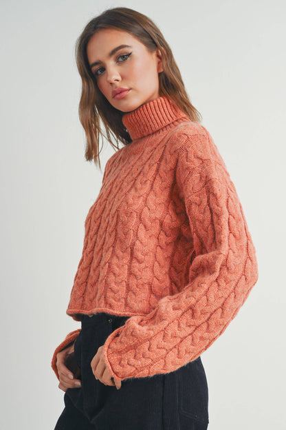 Turtleneck Cable Knit Sweater