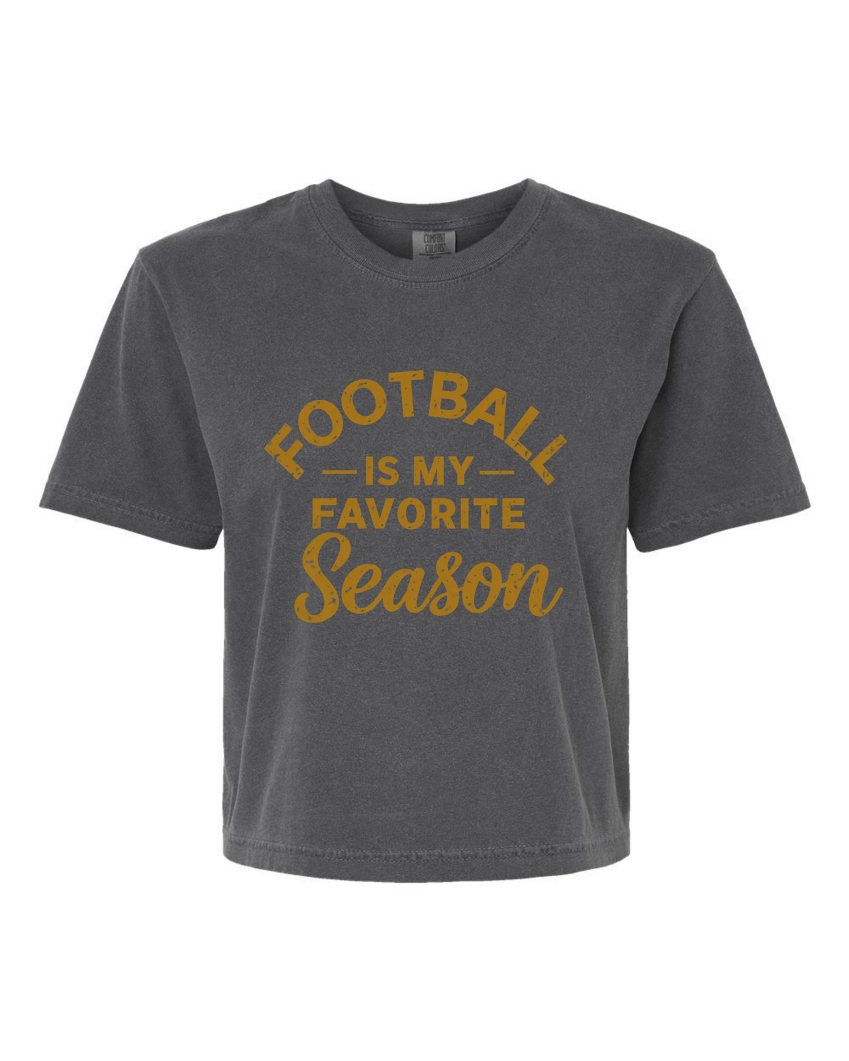 Football is my Favorite Season Boxy Graphic Tee