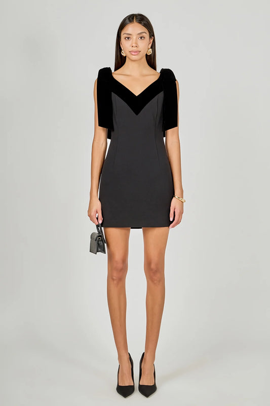 Velvet Detail Mini Dress