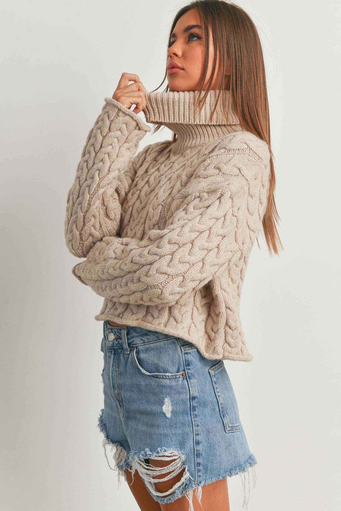 Turtleneck Cable Knit Sweater